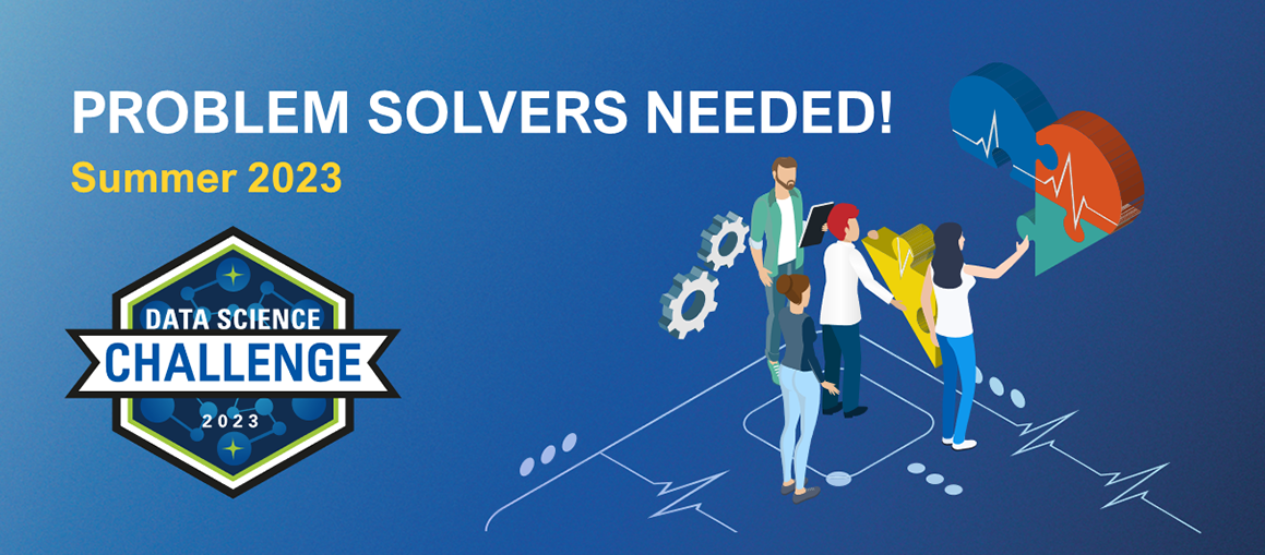 cartoon people putting together a heart-shaped puzzle with the DSC logo and "problem solvers needed" text overlay