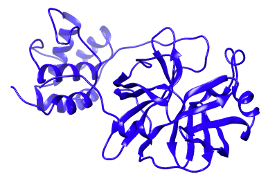 blue spiral shapes twisted together to form a SARS-COV-2 protein