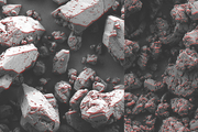 two scanning electron microscopy images side by side