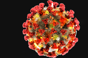 coronavirus particle on a black background