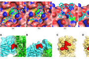 two rows of molecular simulations in multiple colors