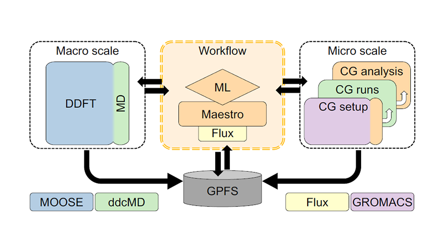 diagram of MuMMI workflow from marco to micro scale
