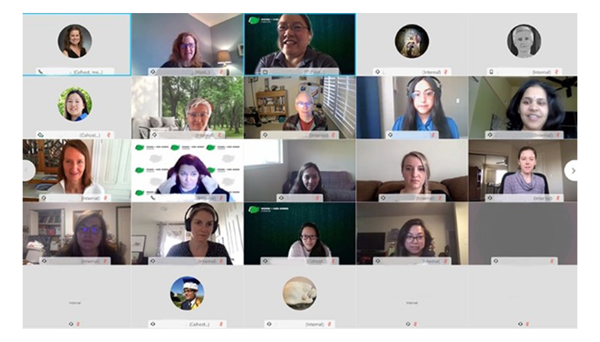 screen shot of WebEx video chat attendees