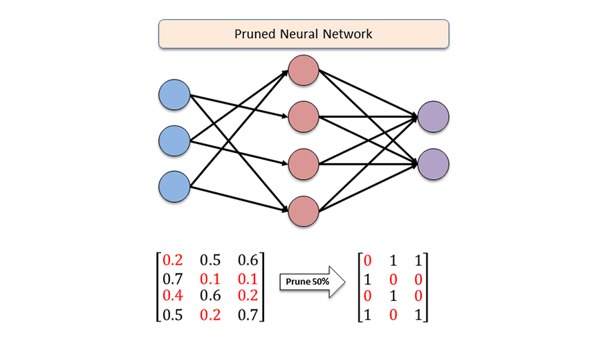 diagram of pruned neural network