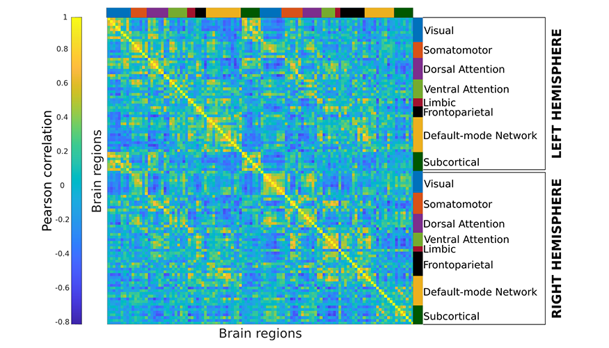 multicolored grid showing hemispherical brain region activity with fMRI