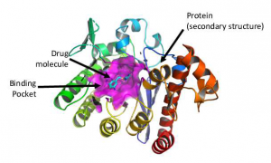 An example of a ligand-receptor complex with PDB code 1q63 from the PBDBbind database