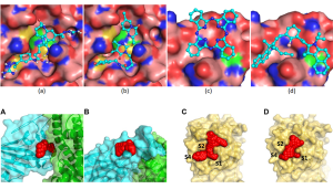 two rows of molecular simulations in multiple colors