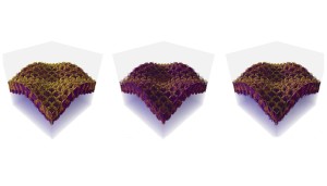 three sponge-like simulated shapes resulting from data reduction, with the middle shape representing the original dataset and the left and right shapes for comparison