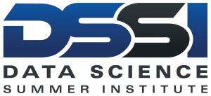 DSSI logo transparent FY22
