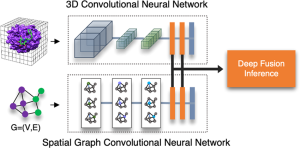 diagram showing components of the neural network with protein-ligand complex data as the input and deep fusion inference (leading to binding affinity) as the output