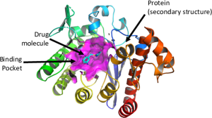 a drug molecule in complex with a protein pocket in multicolored spiral shapes with a binding pocket in the middle