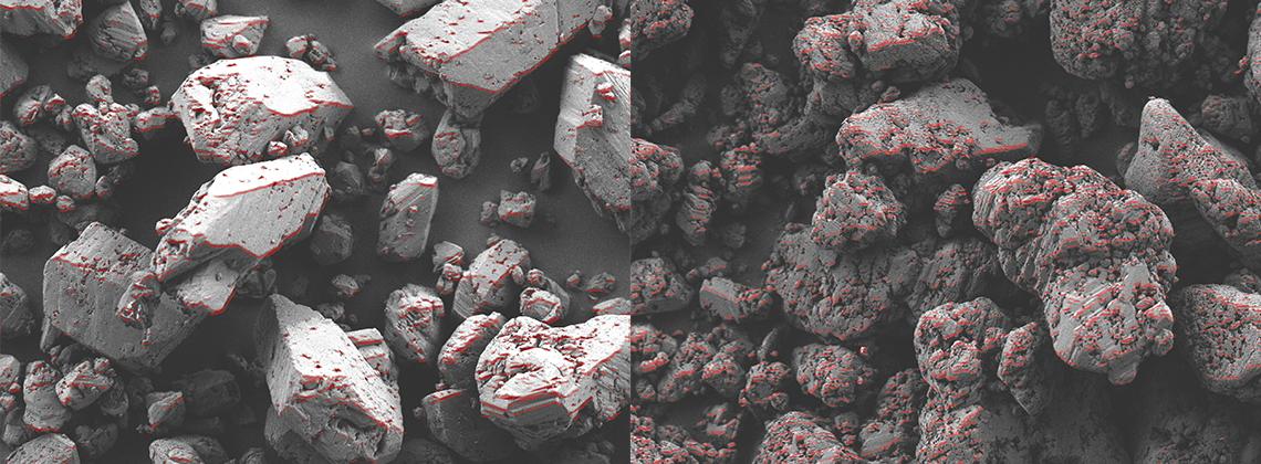 two scanning electron microscopy images side by side