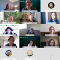 screen shot of 25 WebEx participants